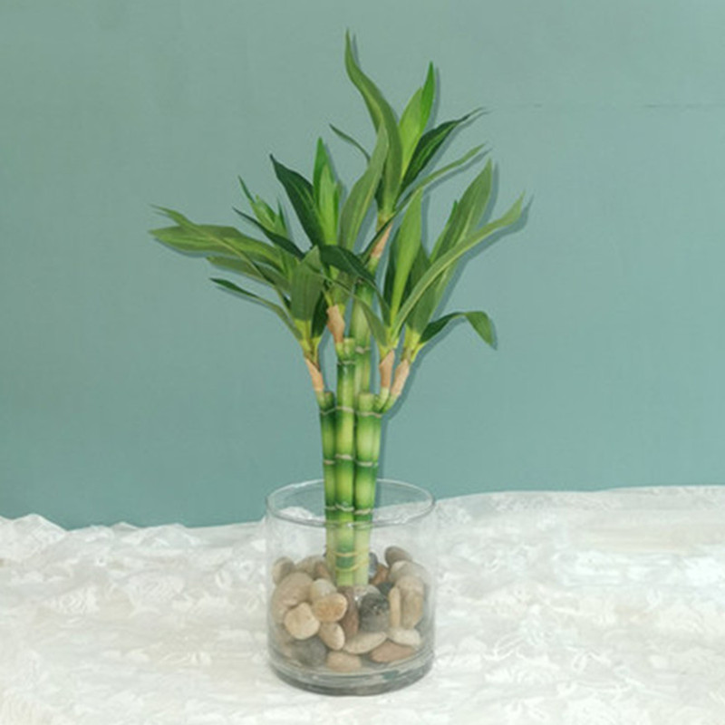 Aquarium Fish Items - Nouvelle plante artificielle Bambou porte-bonheur de