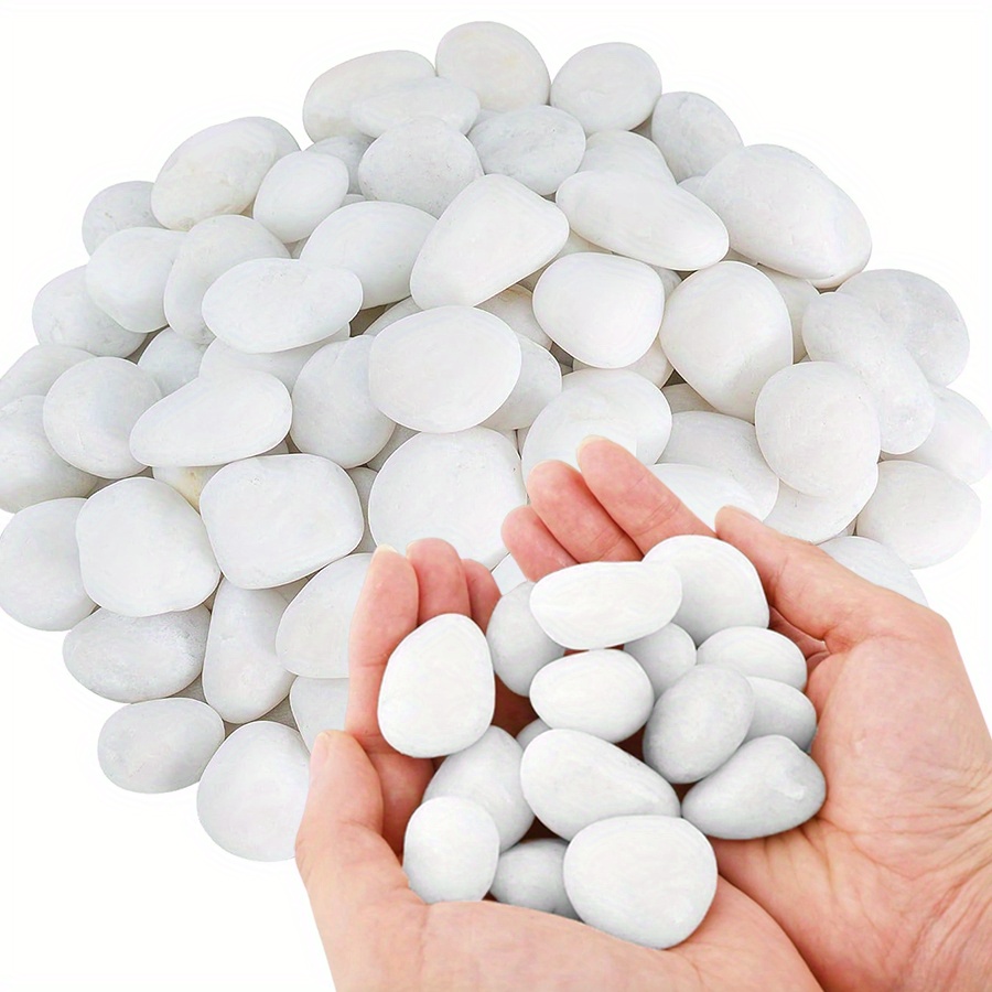 Aquarium Fish Items - Cerfsets naturels blancs hautement polis, 200/400g,