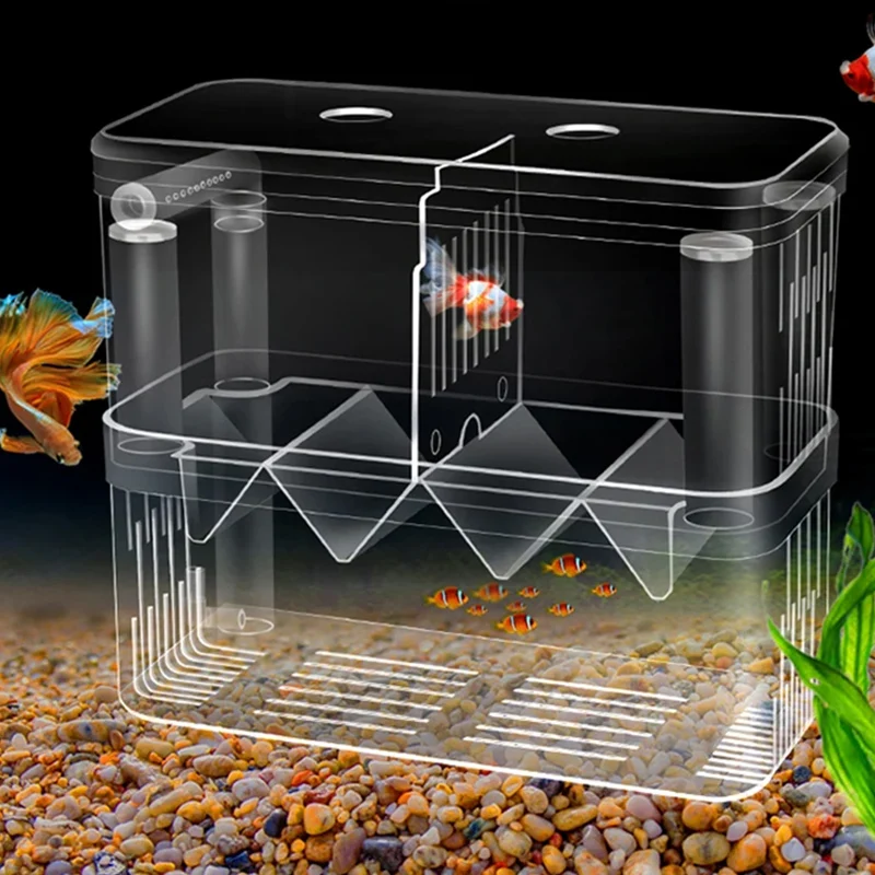 Xl Aquarium Fish - Boîte d'isolation d'élevage de poissons S/L/XL,