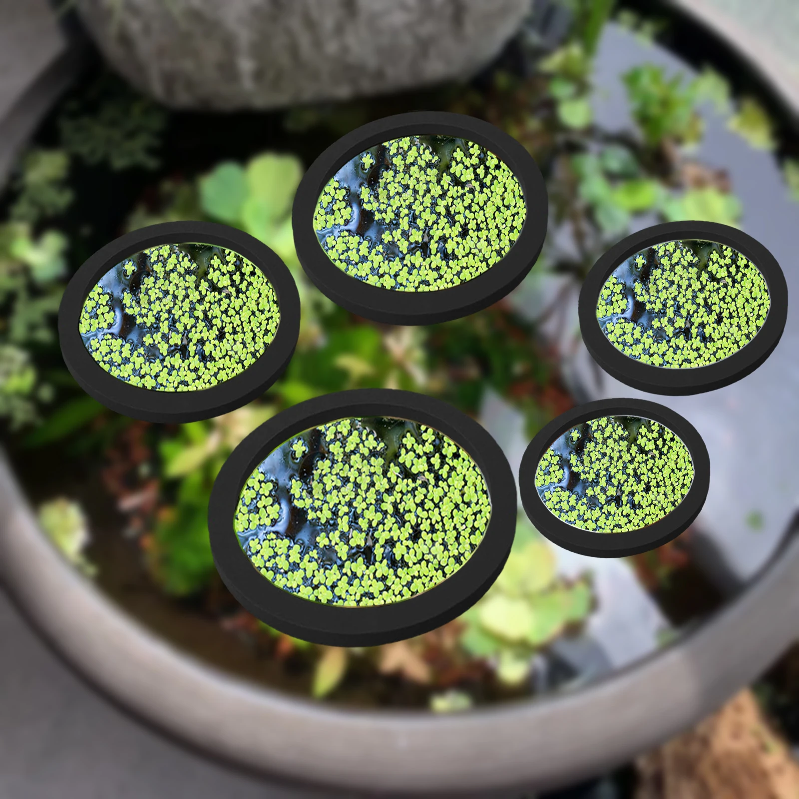Aquarium Fish Items - Anneaux d'Alimentation pour Aquarium, Plante Flottante,