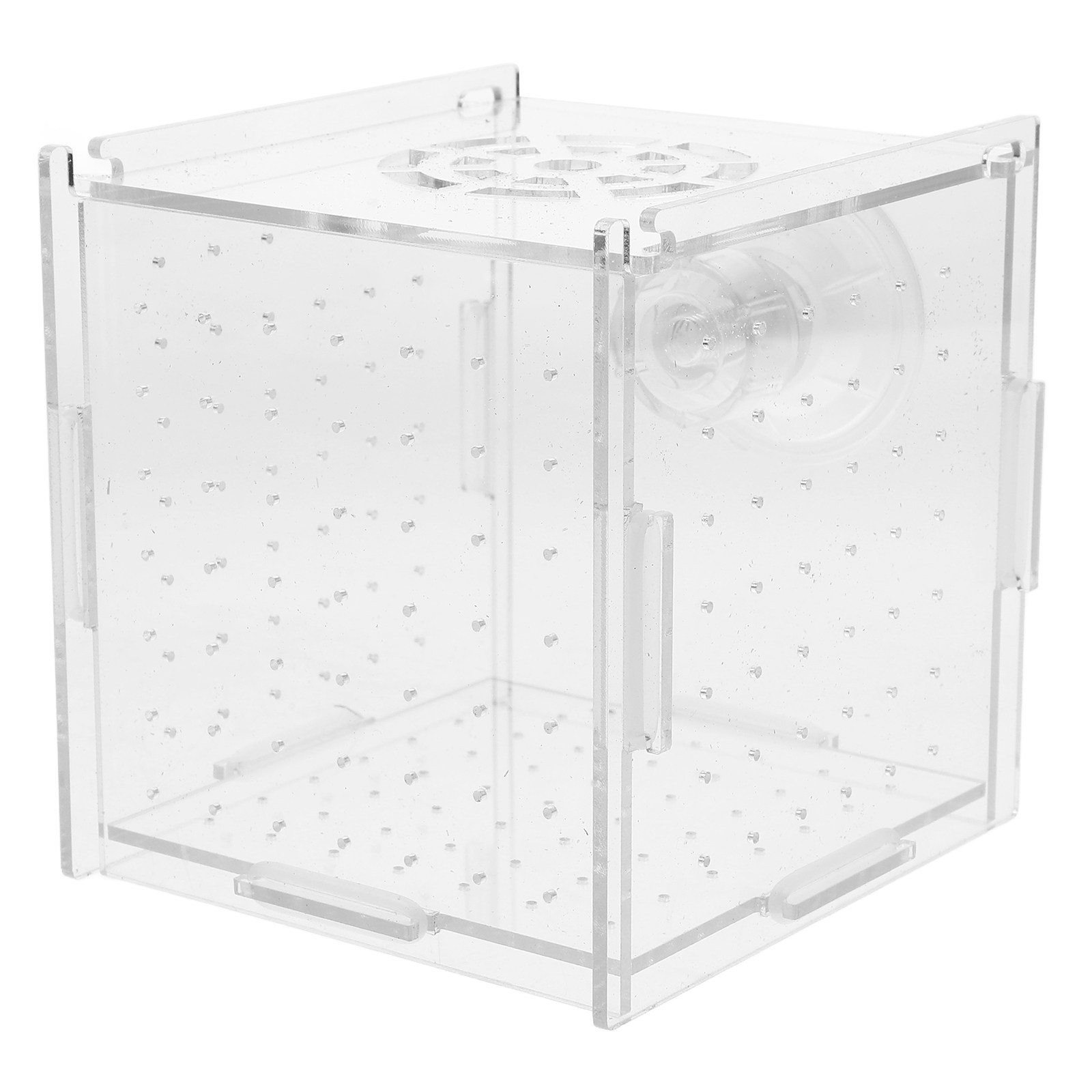 Fish Toy In Aquarium - Boîte d'isolation pour l'élevage des poissons,