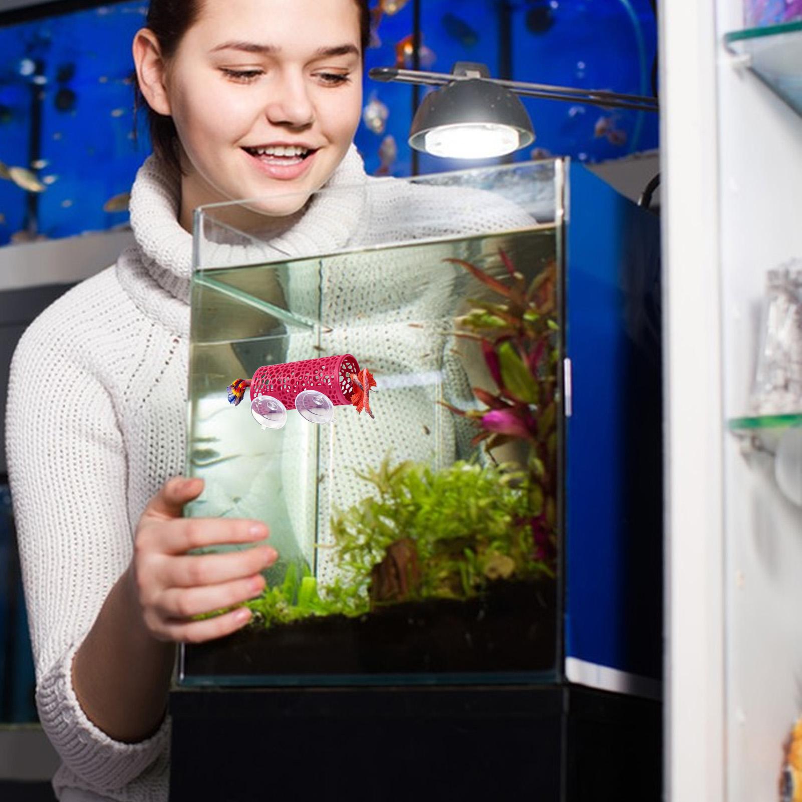 Habitat pour betta, abri de re - Fish Toy In Aquarium avis et prix