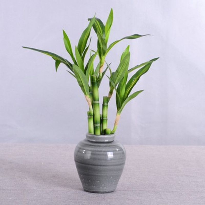 Nouvelle plante artificielle B - Aquarium Fish Items avis et prix