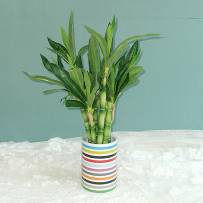Nouvelle plante artificielle B - Aquarium Fish Items avis et prix