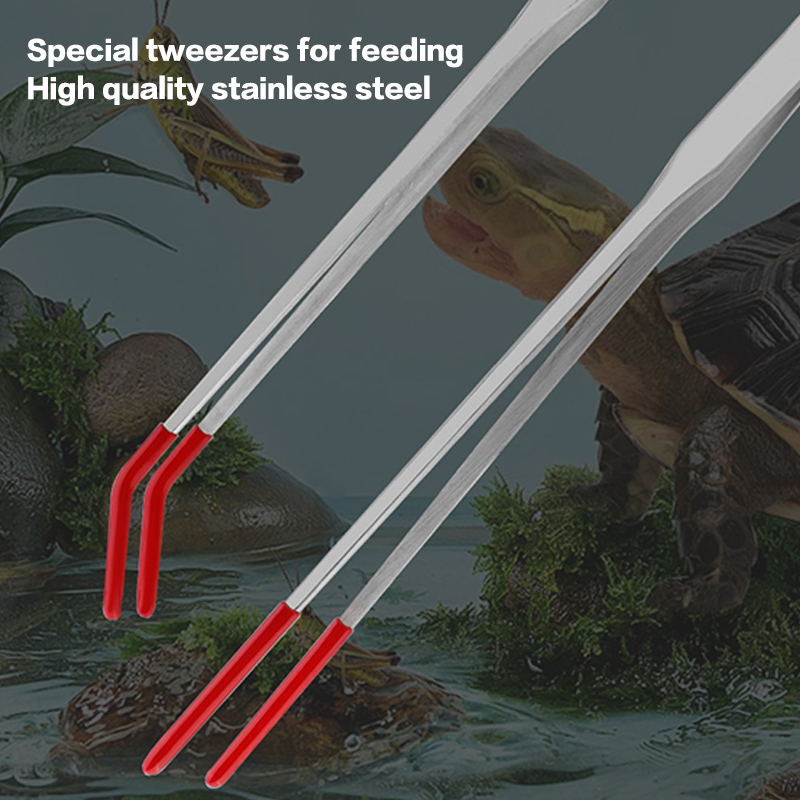 Outils d'entretien pour aquari - Aquarium Fish Items avis et prix