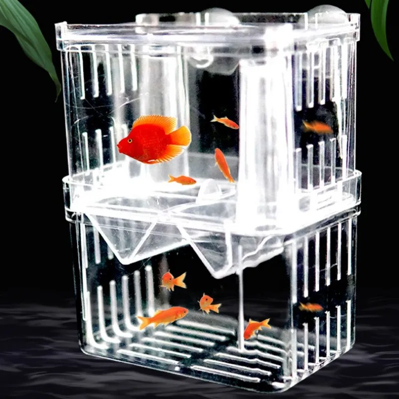 Boîte d'isolation d'élevage de - Xl Aquarium Fish avis et prix