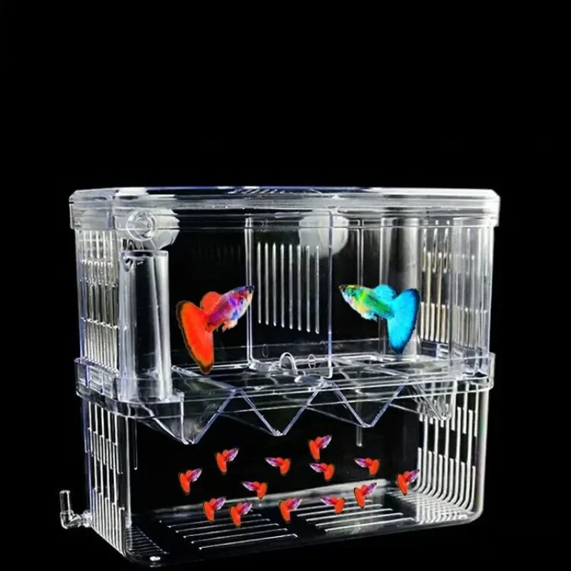 Boîte d'isolation d'élevage de - Xl Aquarium Fish avis et prix