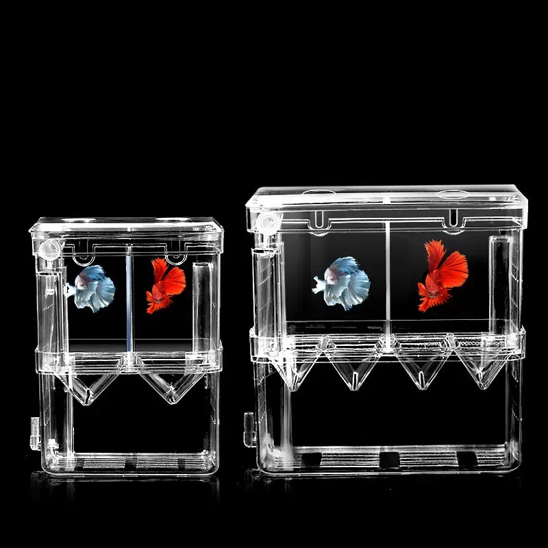 Boîte d'isolation d'élevage de - Xl Aquarium Fish avis et prix