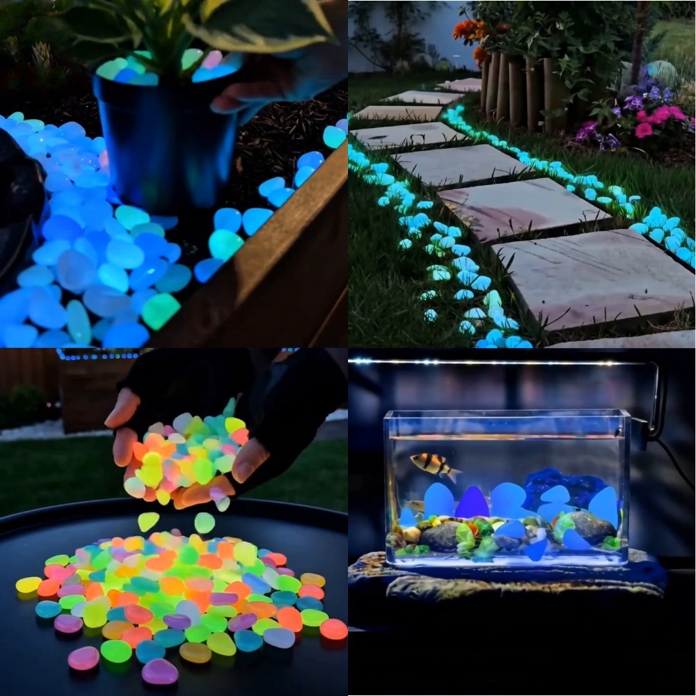 Galets lumineux colorés qui br - Aquarium Fish Items avis et prix
