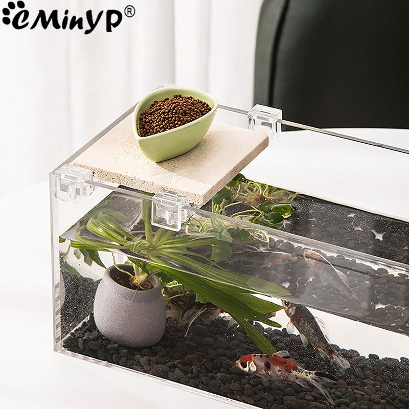 Clips acryliques pour Aquarium - Aquarium Fish Items avis et prix