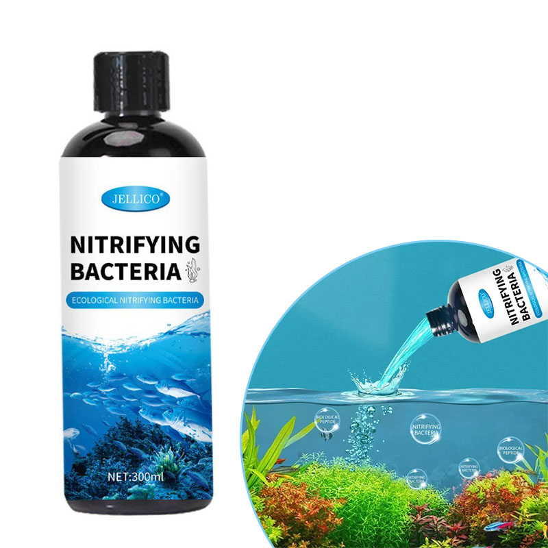 Purificateur d'eau pour Aquari - Aquarium Fish Items avis et prix
