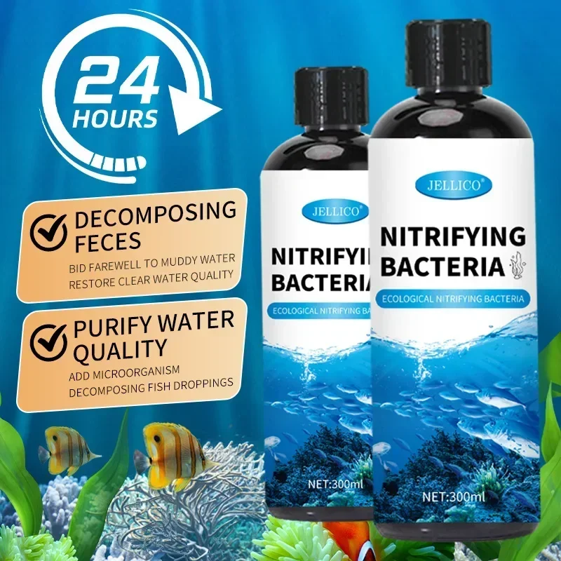 Purificateur d'eau pour Aquari - Aquarium Fish Items avis et prix