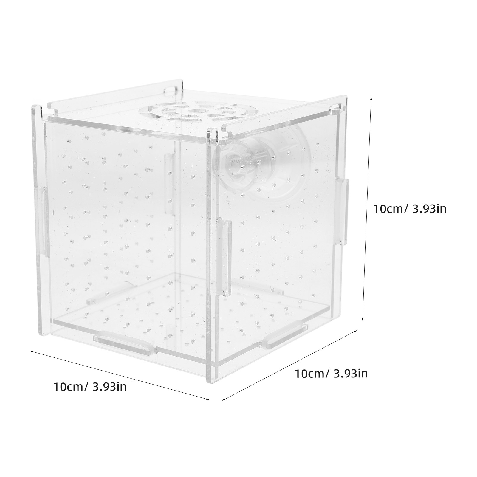 Boîte d'isolation pour l'éleva - Fish Toy In Aquarium avis et prix