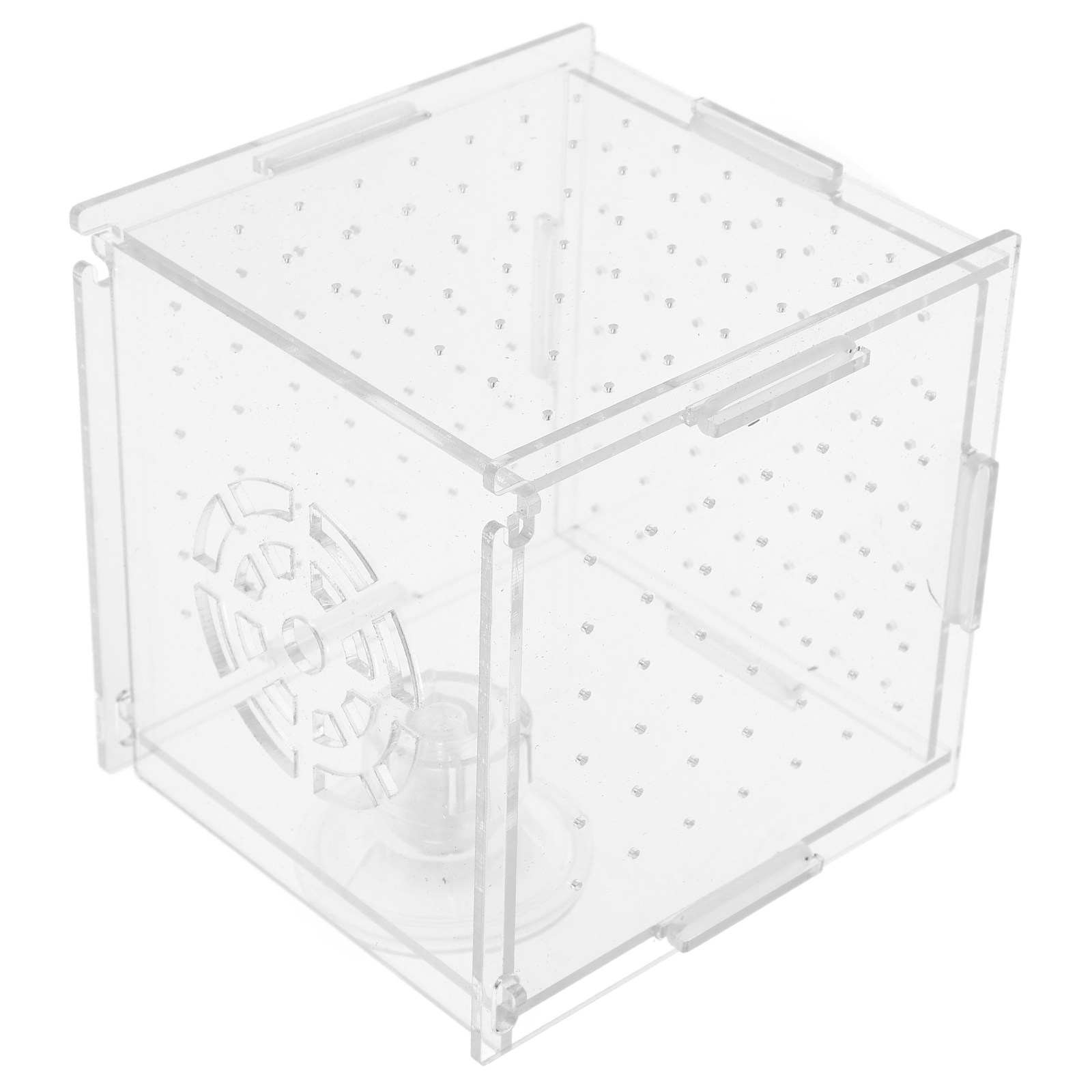 Boîte d'isolation pour l'éleva - Fish Toy In Aquarium avis et prix