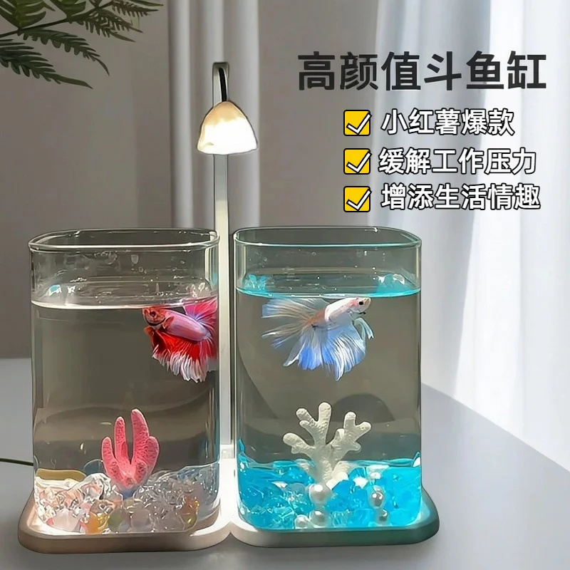 Mini Aquarium de bureau en ver - Fish Toy In Aquarium avis et prix