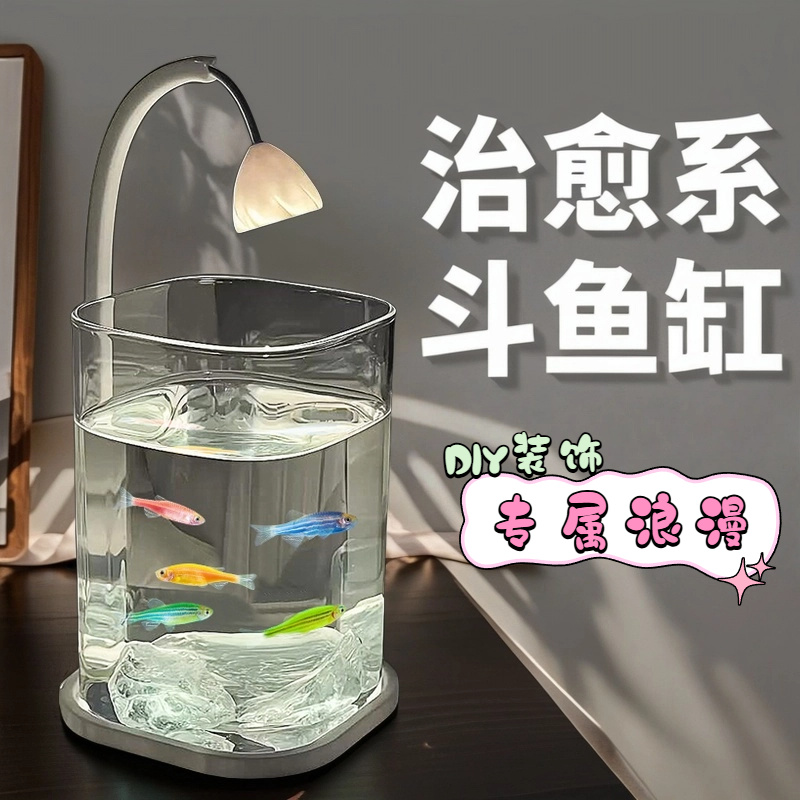 Mini Aquarium de bureau en ver - Fish Toy In Aquarium avis et prix