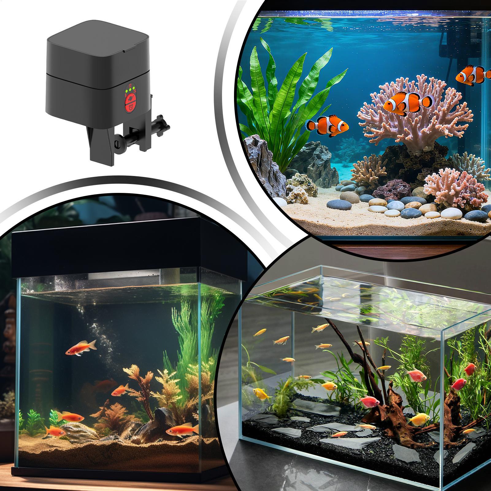 Distributeur automatique de no - Fish Toy In Aquarium avis et prix