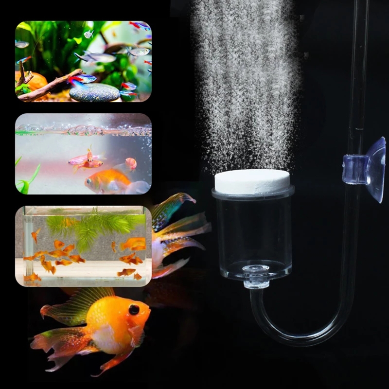 Diffuseur de CO2 pour aquarium - Aquarium Fish Items avis et prix