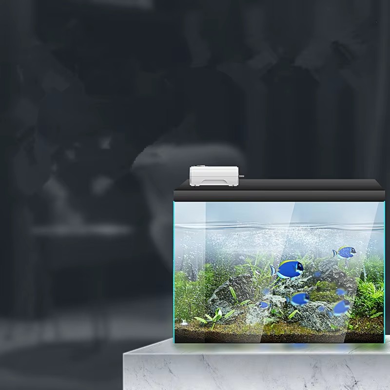 220 V/110 V 3 W/8 W/12 W Ultra - Xl Aquarium Fish avis et prix
